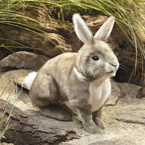 Kids' Cottontail Rabbit Puppet