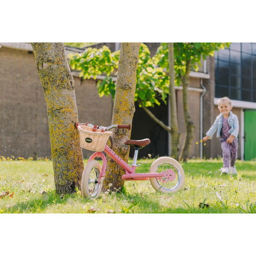 Kids' Vintage-Style Tricycle Balance Bike