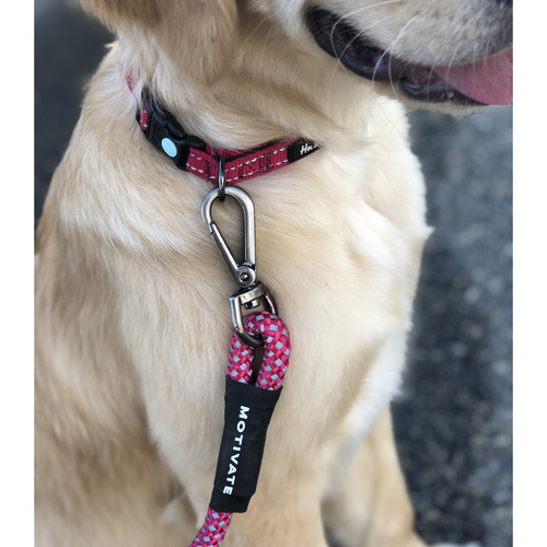 Ultralight Motivate Dog Lead