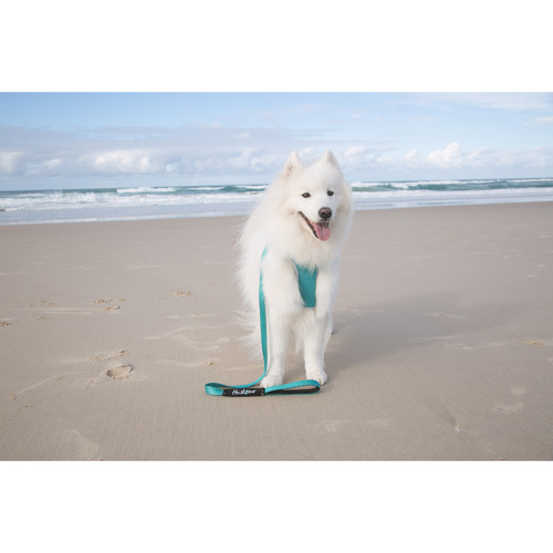 Trekpro Dog Lead