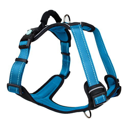 Huskimo Ultimate Dog Harness | Temple & Webster