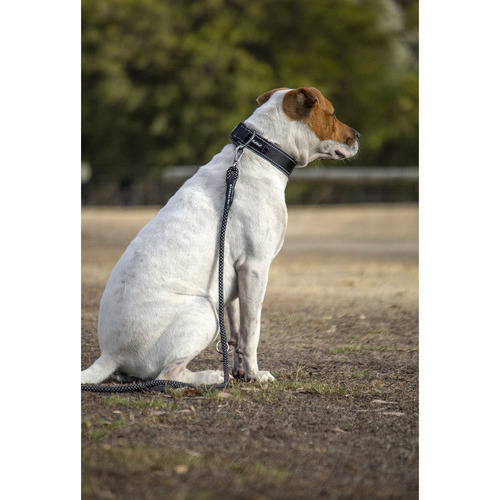 Black Specialist 360 Degree Dog Collar