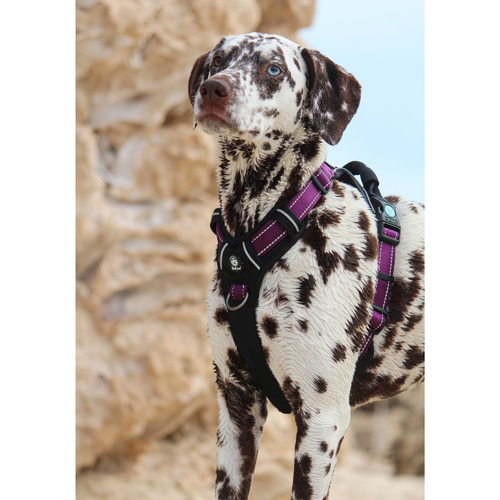 Ultimate Dog Harness