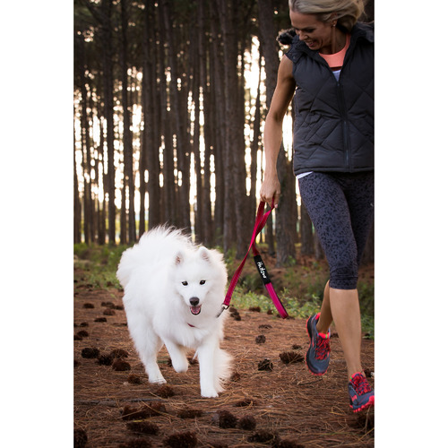 Trekpro Dog Lead