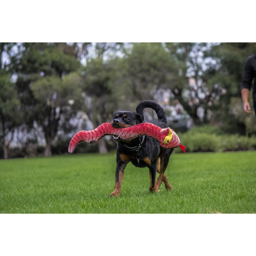 Red Snake Plush Dog Toy