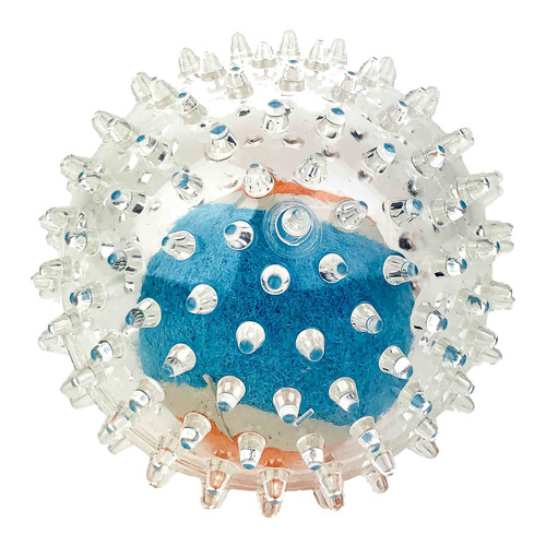 spiky ball dog toy