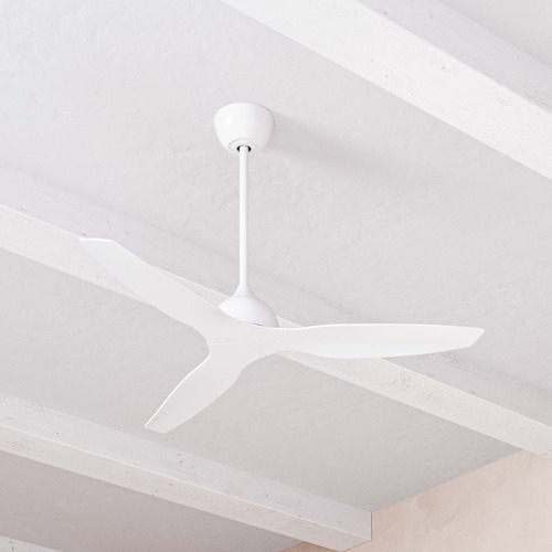 Whisper-122cm-DC-Ceiling-Fan