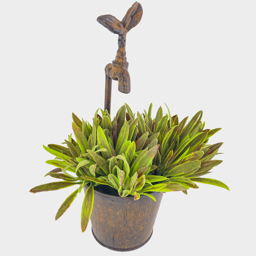 VintageStyle Sprout Faucet Wall Planter Temple & ster