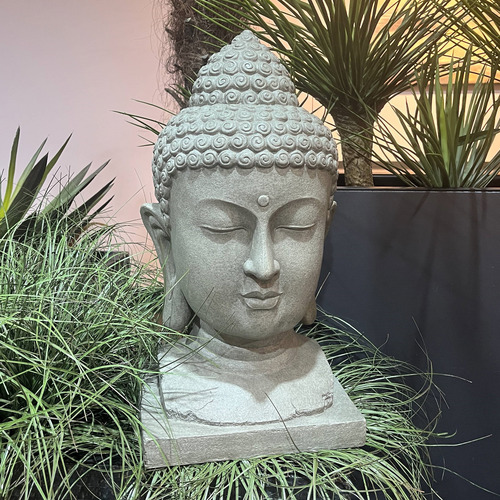 Buddha Head Statue Temple & ster