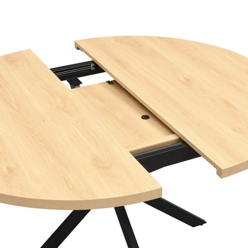Neena Extendable Dining Table