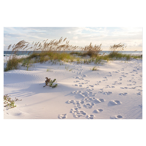 Footprints By The Beach Stretched Canvas Wall Art