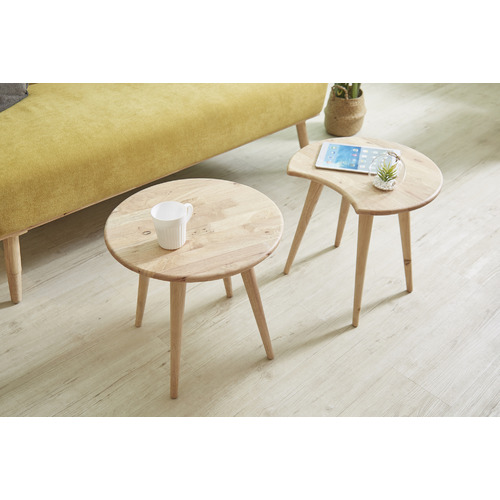 2 Piece Ant Coffee Table Set