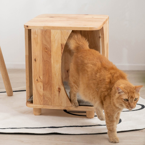 Connor Multifunctional Accent Stool