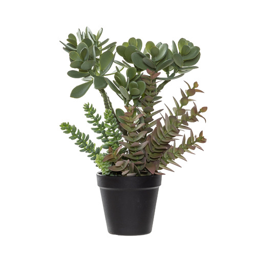 32cm Potted Faux Jade Plant Mix | Temple & Webster