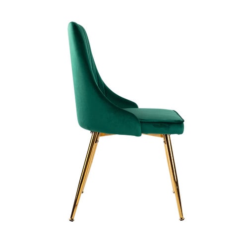 2 Piece Timur Dining Chair Set