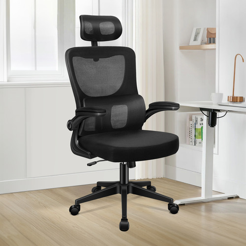 Ortiz High Back Office Chair | Temple & Webster