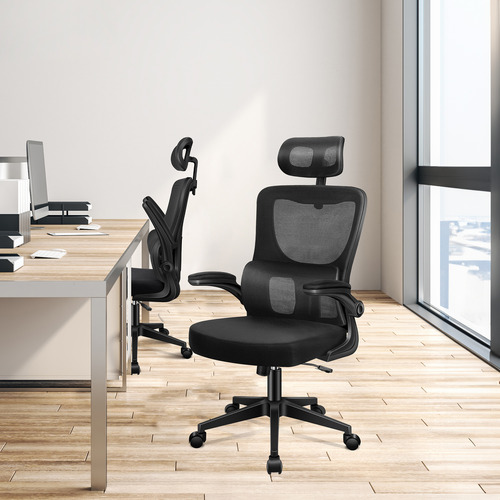 Ortiz Executive Office Chair