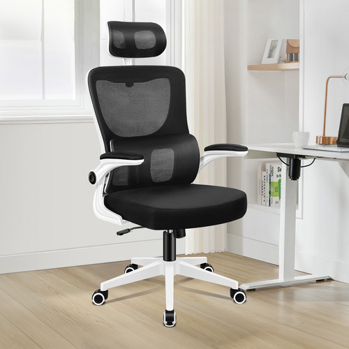 Ortiz Executive Office Chair
