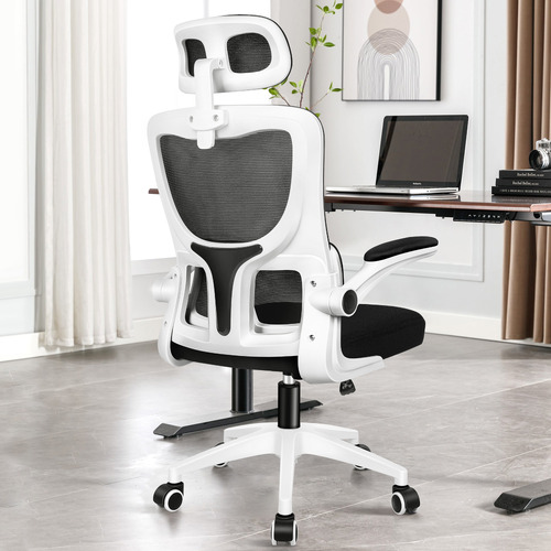 Ortiz Executive Office Chair