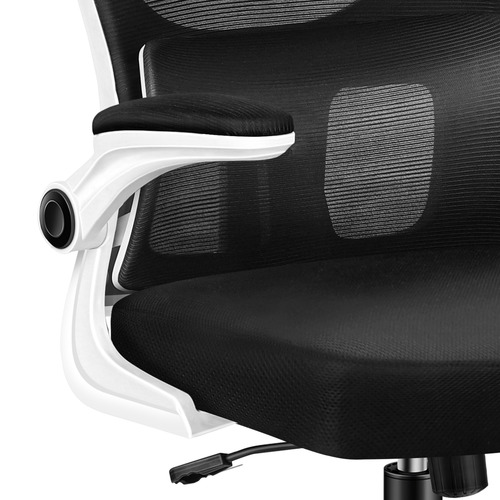 Ortiz Executive Office Chair