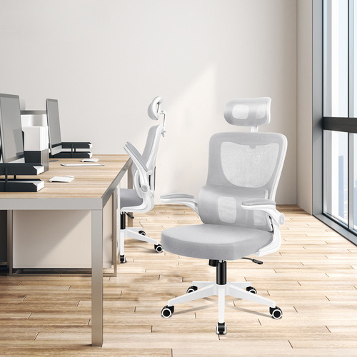 Ortiz Executive Office Chair