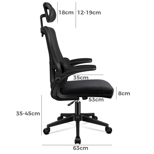 Ortiz Executive Office Chair
