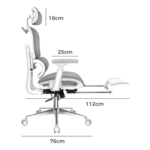 Diana Mesh Office Chair with Footrest