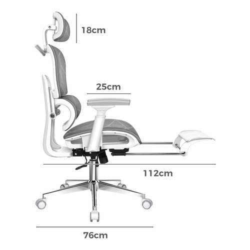 Platon Mesh Office Chair with Footrest