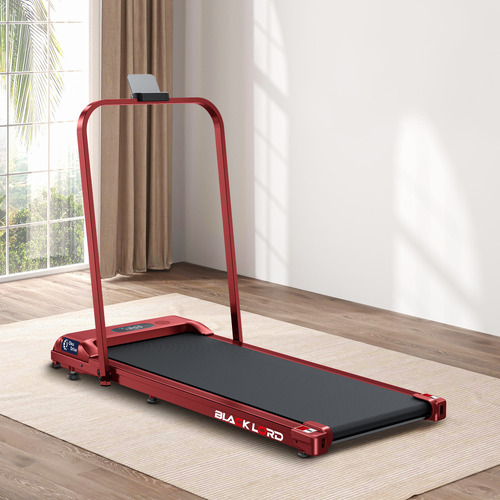 Omari-Walking-Pad-with-Handrail