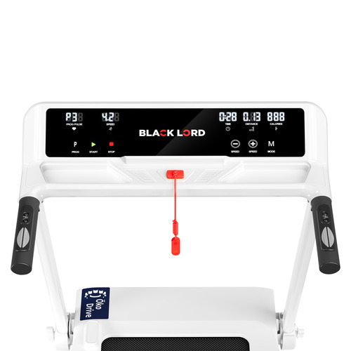 Newark Flodable Electric Treadmill