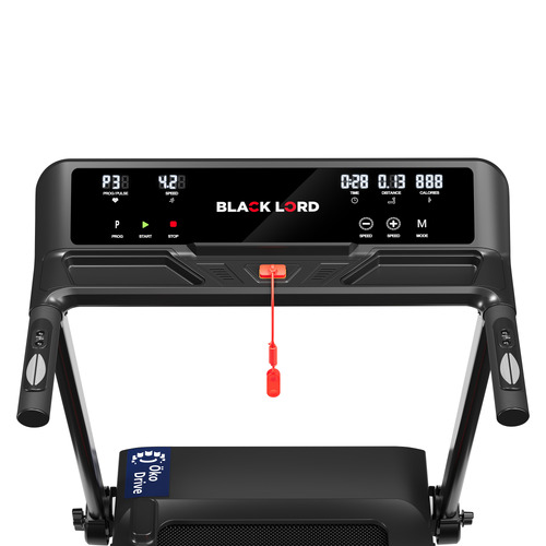 Newark Flodable Electric Treadmill