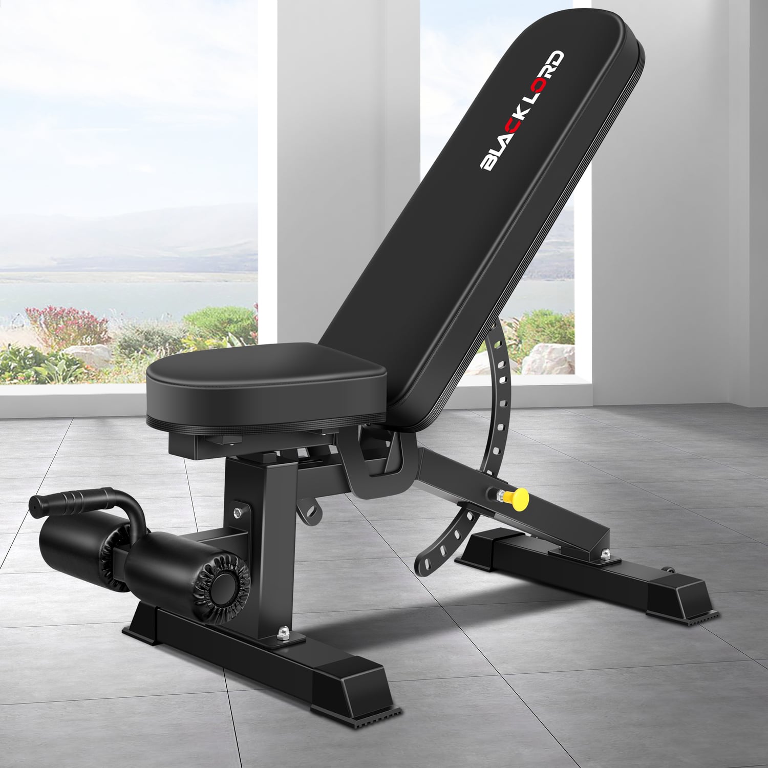 Jupiter Weight Bench