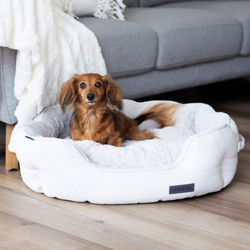 Luxe Round Boucle Stone Shell Pet Bed