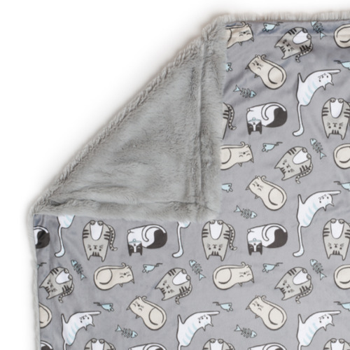 Kitten Around Cat Blanket