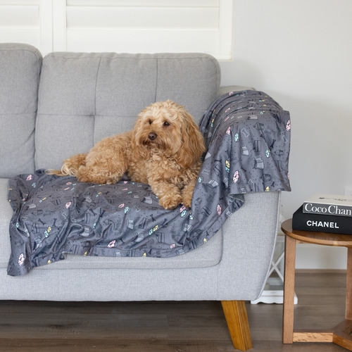 Charcoal Dog Treats Blanket