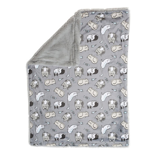 Kitten Around Cat Blanket