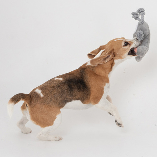 4 Piece The Bandits Dog Toy