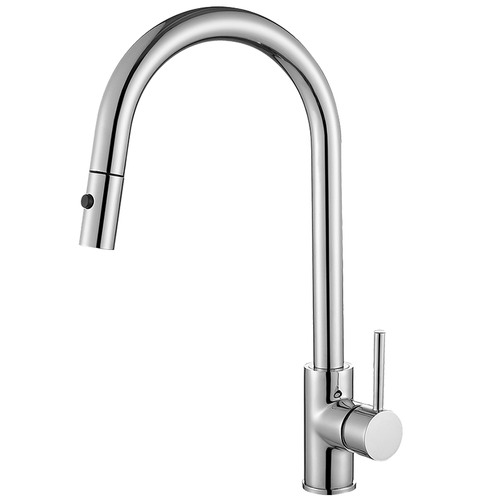 Rosa Pull-Out Kitchen Mixer Tap