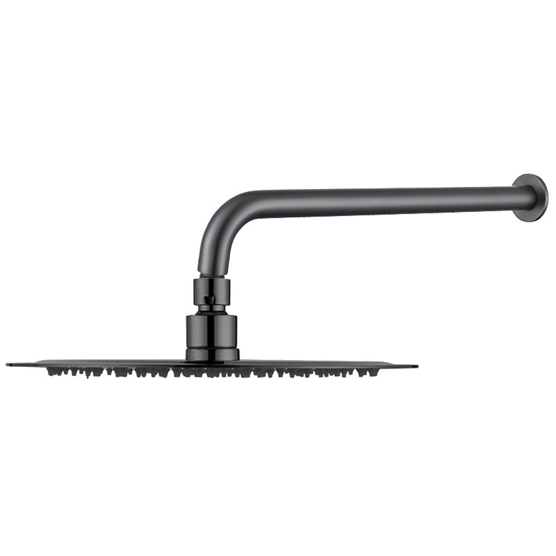 2 Piece Rosa Shower Head & Shower Arm Set
