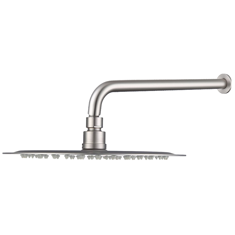 2 Piece Rosa Shower Head & Shower Arm Set