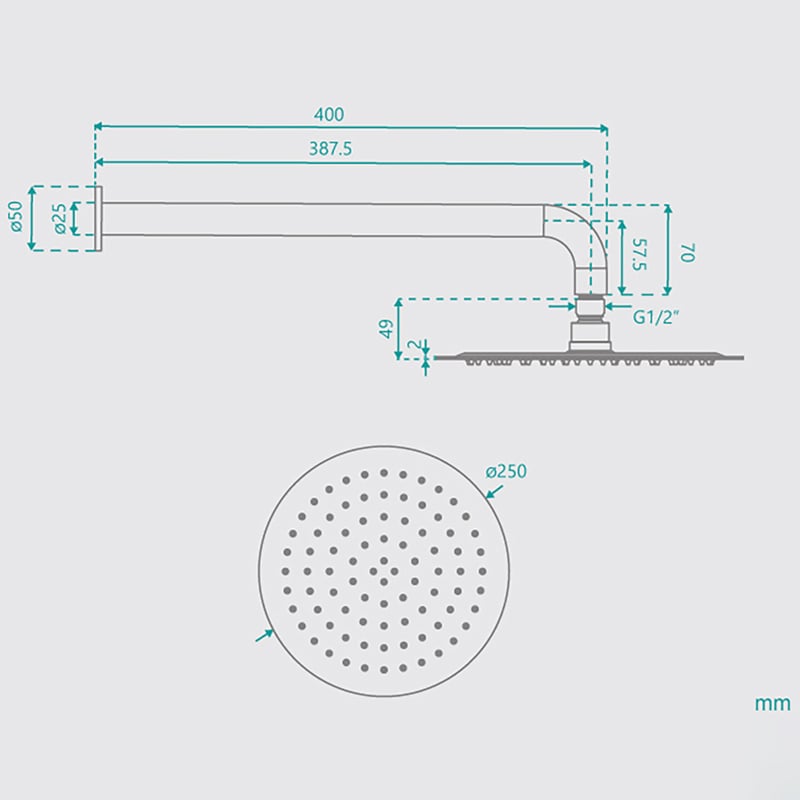 2 Piece Rosa Shower Head & Shower Arm Set