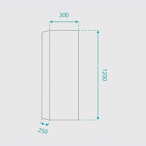 Orion Wall Mounted Bathroom Cabinet