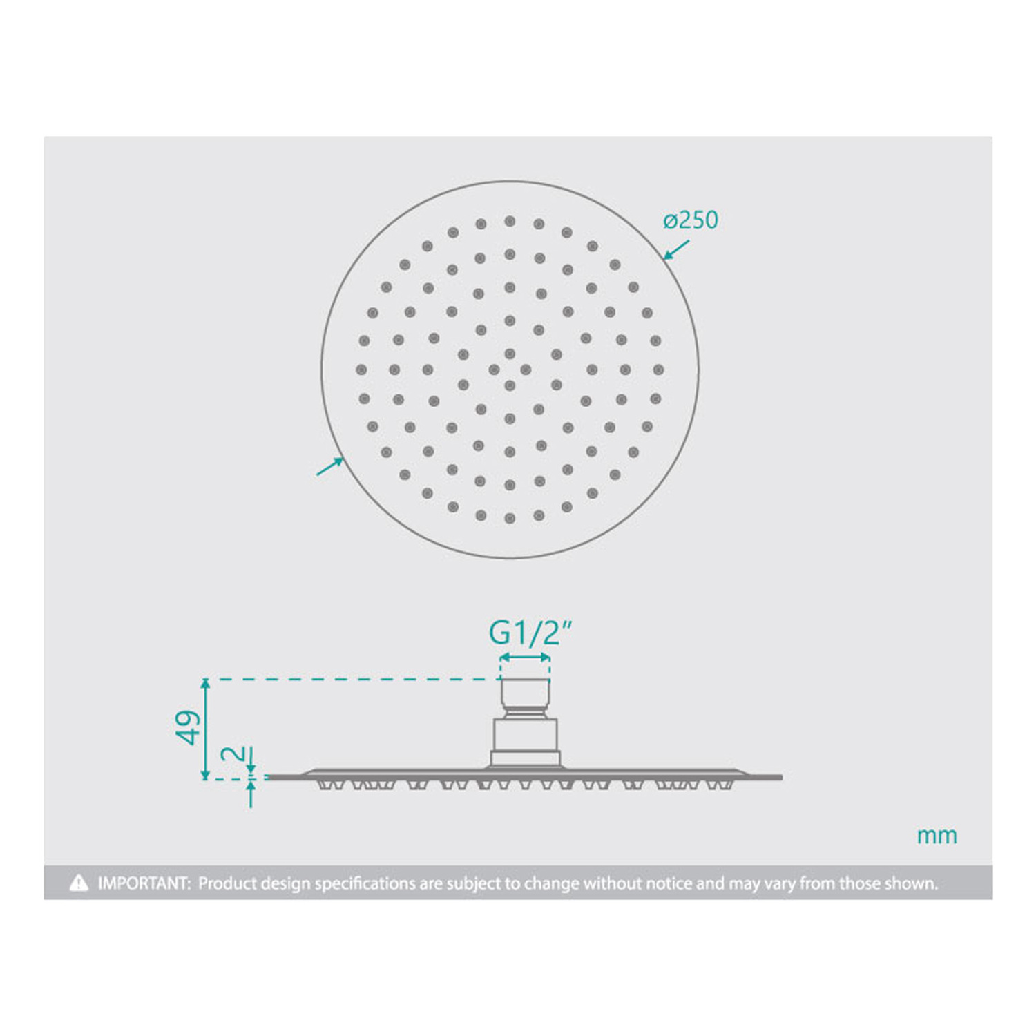 Rosa Round Ceiling Shower Arm & Head