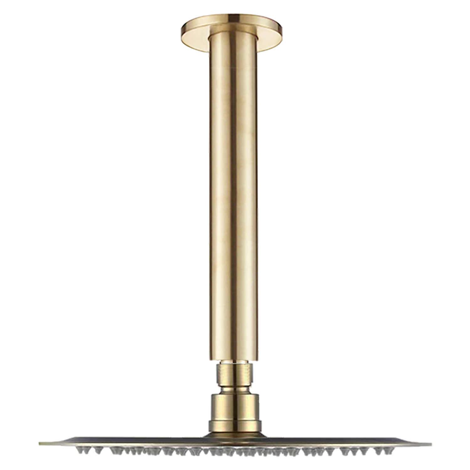Rosa Round Ceiling Shower Arm & Head
