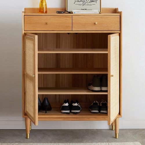 Baros 2 Door Shoe Cabinet with Drawers