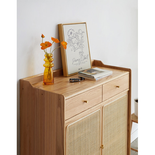Baros 2 Door Shoe Cabinet with Drawers