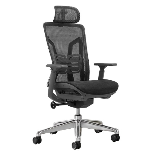 Alexei Office Chair Temple & ster