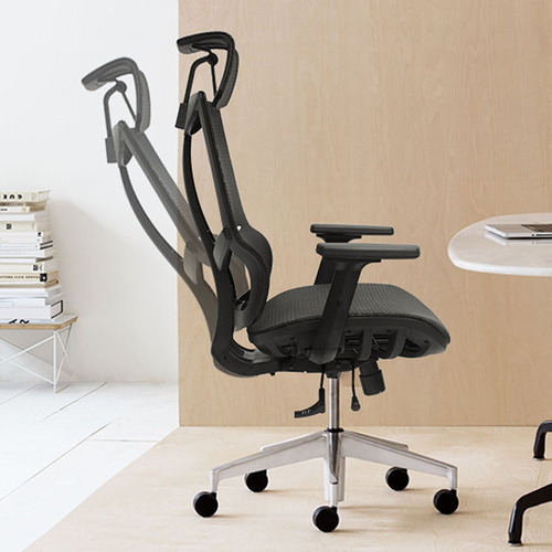 Ayden Ergonomic Office Chair Temple & ster
