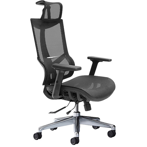 Ayden Ergonomic Office Chair Temple & ster