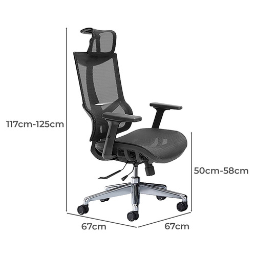 Ayden Ergonomic Office Chair Temple & ster